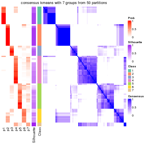 plot of chunk tab-node-023-consensus-heatmap-6