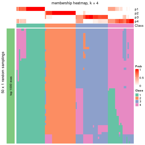 plot of chunk tab-node-023-membership-heatmap-3