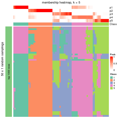 plot of chunk tab-node-023-membership-heatmap-4