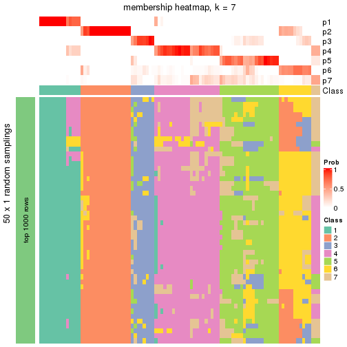 plot of chunk tab-node-023-membership-heatmap-6