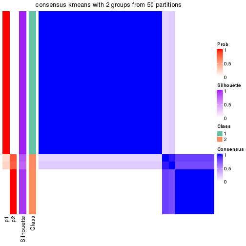 plot of chunk tab-node-0232-consensus-heatmap-1