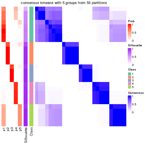 plot of chunk tab-node-0232-consensus-heatmap-4