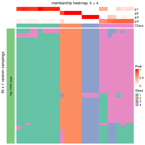 plot of chunk tab-node-0232-membership-heatmap-3