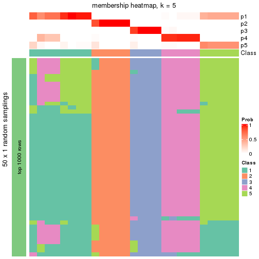 plot of chunk tab-node-0232-membership-heatmap-4