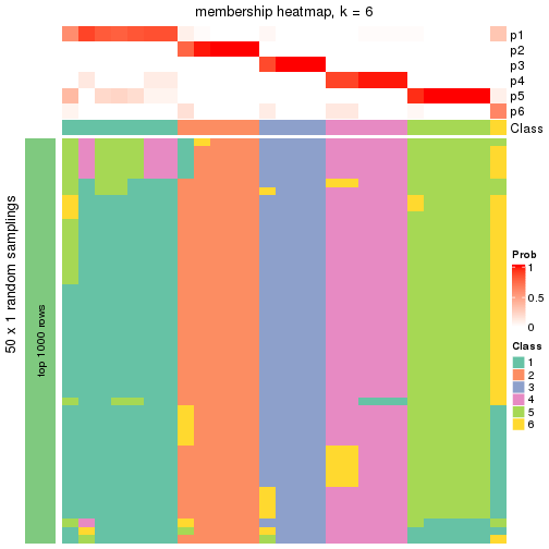 plot of chunk tab-node-0232-membership-heatmap-5