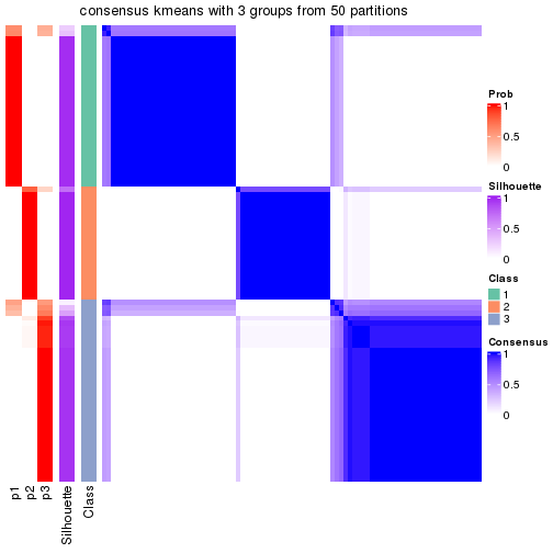 plot of chunk tab-node-024-consensus-heatmap-2