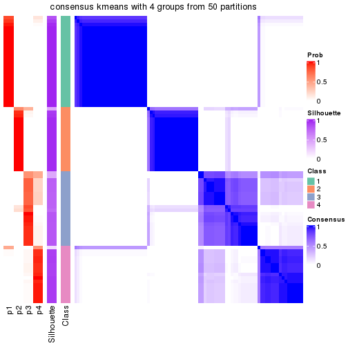 plot of chunk tab-node-024-consensus-heatmap-3