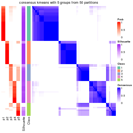 plot of chunk tab-node-024-consensus-heatmap-4