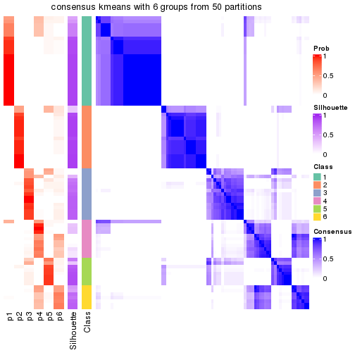 plot of chunk tab-node-024-consensus-heatmap-5