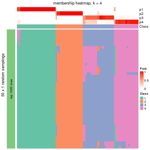 plot of chunk tab-node-024-membership-heatmap-3