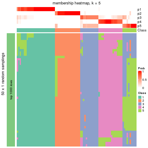 plot of chunk tab-node-024-membership-heatmap-4