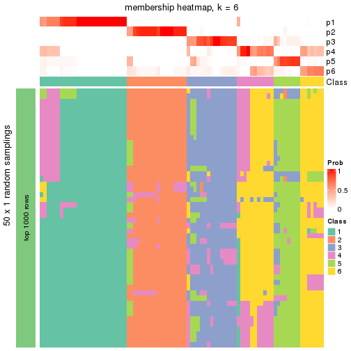 plot of chunk tab-node-024-membership-heatmap-5