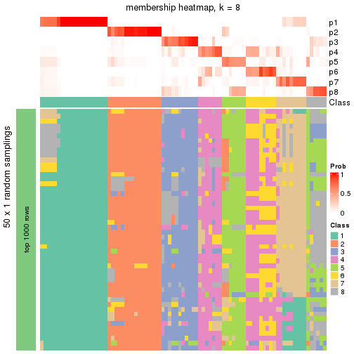 plot of chunk tab-node-024-membership-heatmap-7