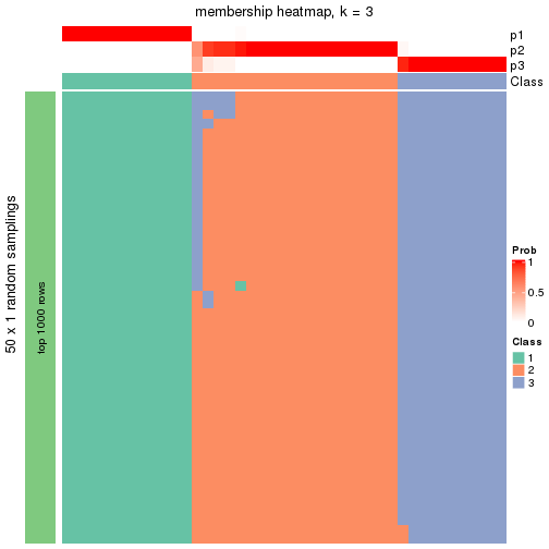 plot of chunk tab-node-0242-membership-heatmap-2