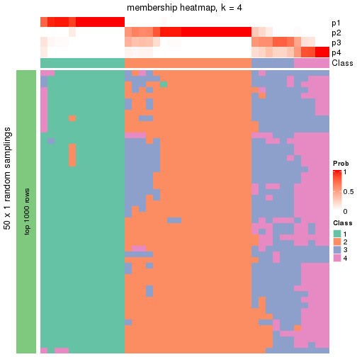 plot of chunk tab-node-0242-membership-heatmap-3