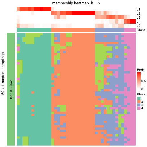 plot of chunk tab-node-0242-membership-heatmap-4