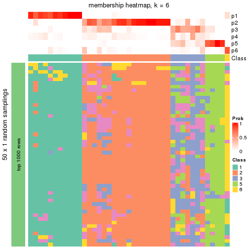 plot of chunk tab-node-0242-membership-heatmap-5