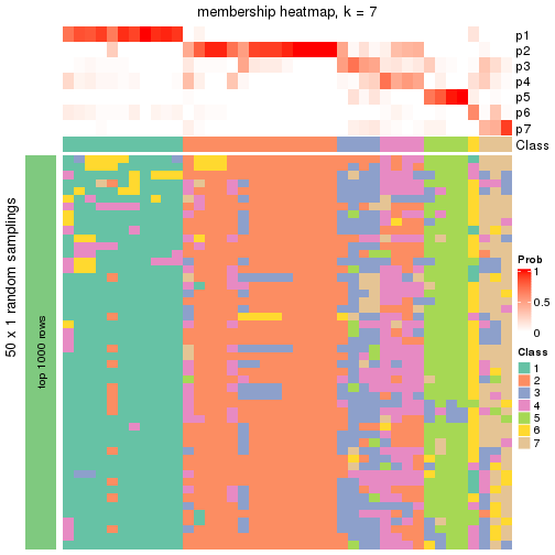 plot of chunk tab-node-0242-membership-heatmap-6