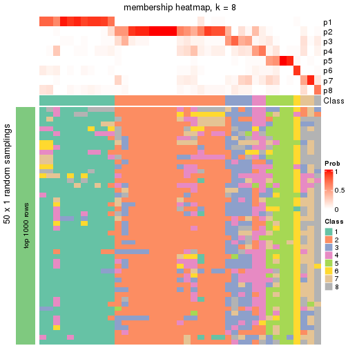 plot of chunk tab-node-0242-membership-heatmap-7