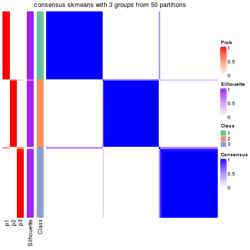 plot of chunk tab-node-03-consensus-heatmap-2