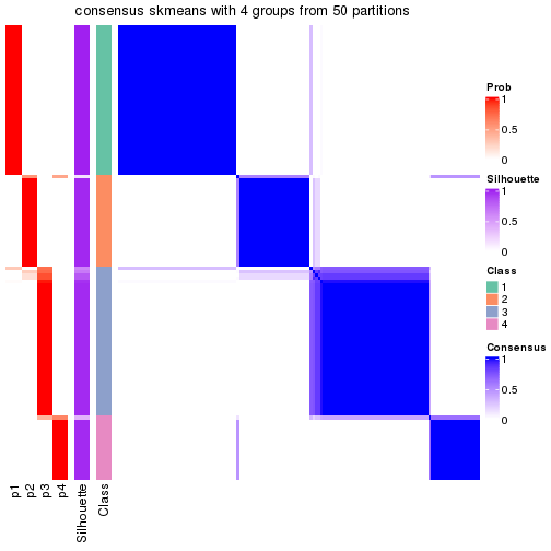 plot of chunk tab-node-03-consensus-heatmap-3