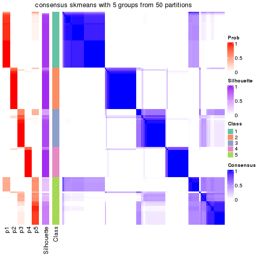 plot of chunk tab-node-03-consensus-heatmap-4