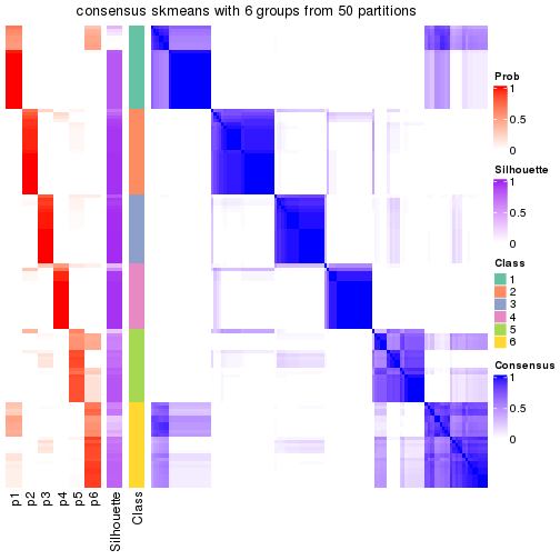 plot of chunk tab-node-03-consensus-heatmap-5