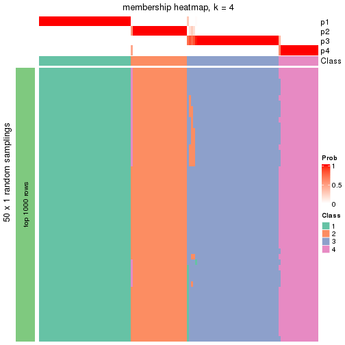 plot of chunk tab-node-03-membership-heatmap-3