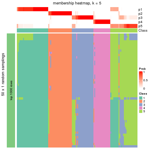 plot of chunk tab-node-03-membership-heatmap-4