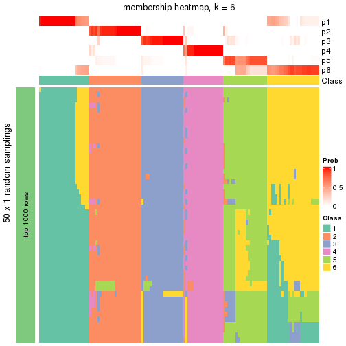 plot of chunk tab-node-03-membership-heatmap-5