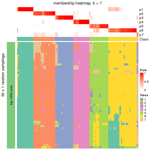 plot of chunk tab-node-03-membership-heatmap-6