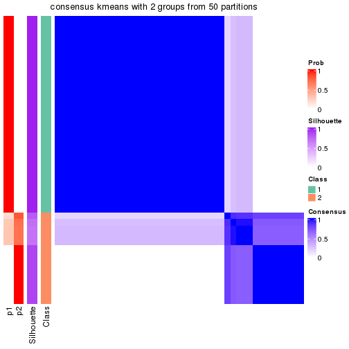 plot of chunk tab-node-031-consensus-heatmap-1