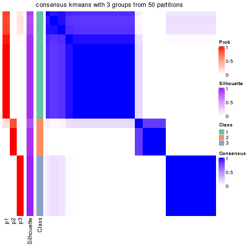 plot of chunk tab-node-031-consensus-heatmap-2