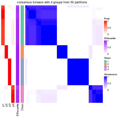 plot of chunk tab-node-031-consensus-heatmap-3