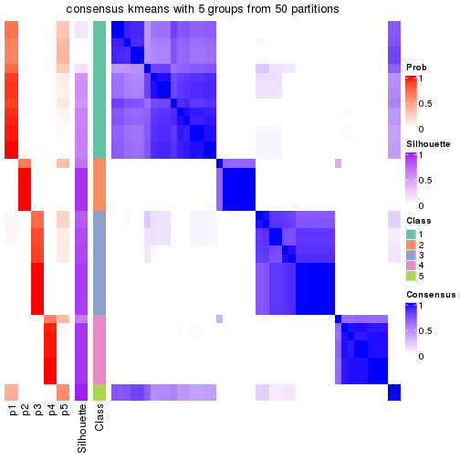 plot of chunk tab-node-031-consensus-heatmap-4