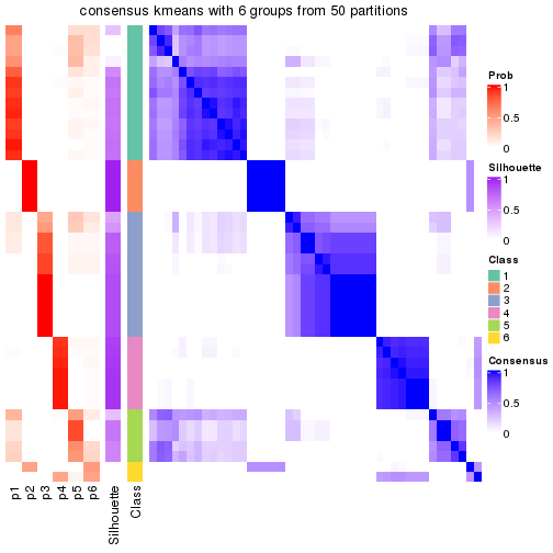 plot of chunk tab-node-031-consensus-heatmap-5