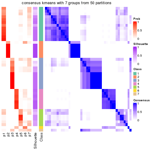 plot of chunk tab-node-031-consensus-heatmap-6