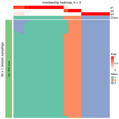 plot of chunk tab-node-031-membership-heatmap-2