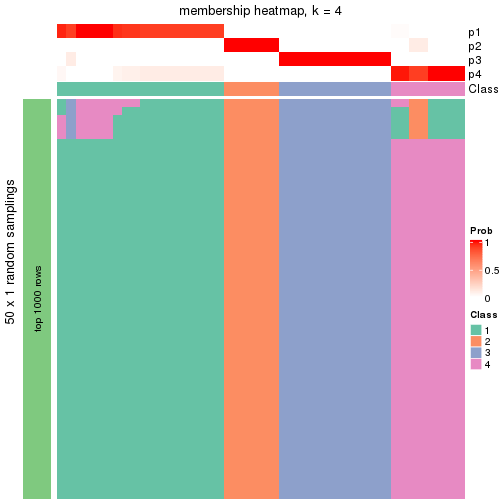 plot of chunk tab-node-031-membership-heatmap-3