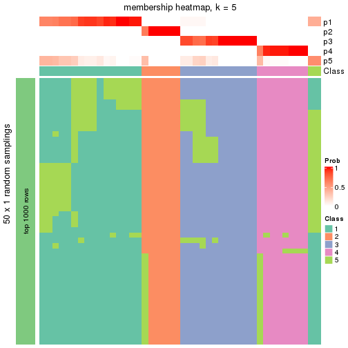 plot of chunk tab-node-031-membership-heatmap-4