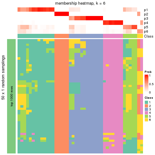 plot of chunk tab-node-031-membership-heatmap-5