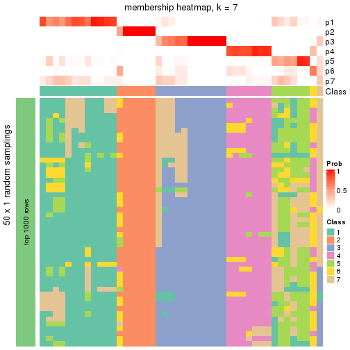 plot of chunk tab-node-031-membership-heatmap-6