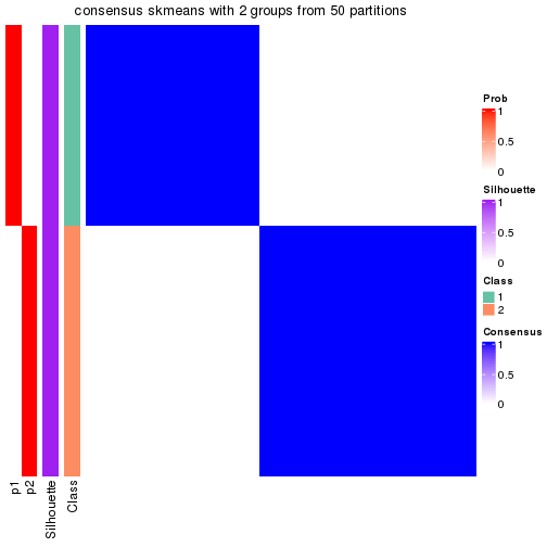 plot of chunk tab-node-032-consensus-heatmap-1