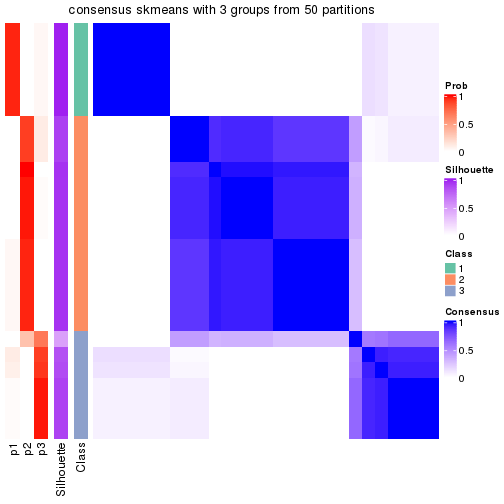 plot of chunk tab-node-032-consensus-heatmap-2