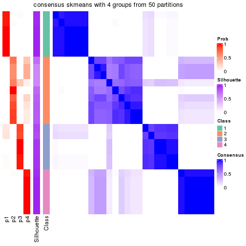 plot of chunk tab-node-032-consensus-heatmap-3