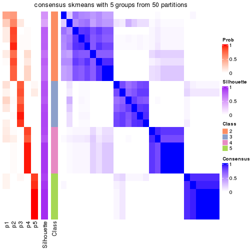 plot of chunk tab-node-032-consensus-heatmap-4