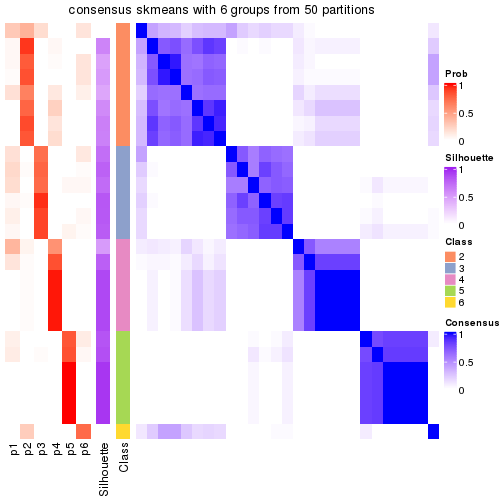 plot of chunk tab-node-032-consensus-heatmap-5