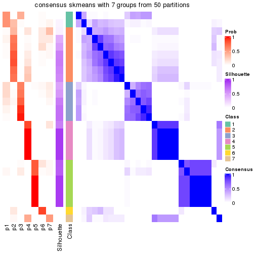 plot of chunk tab-node-032-consensus-heatmap-6