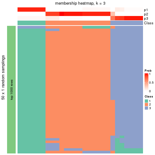 plot of chunk tab-node-032-membership-heatmap-2