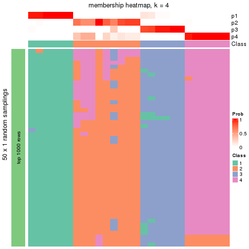 plot of chunk tab-node-032-membership-heatmap-3